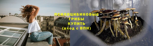 СК Бабаево