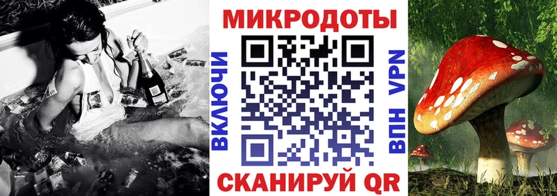 Галлюциногенные грибы прущие грибы  наркота  Елизово 